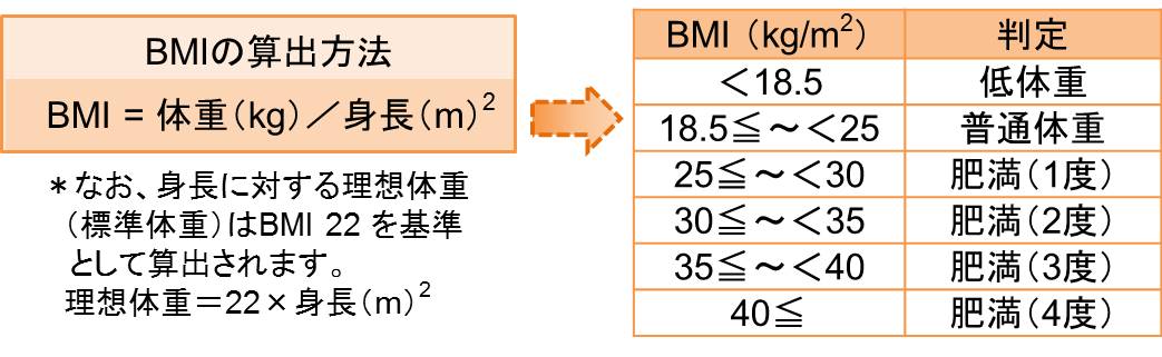 肥満の判定は