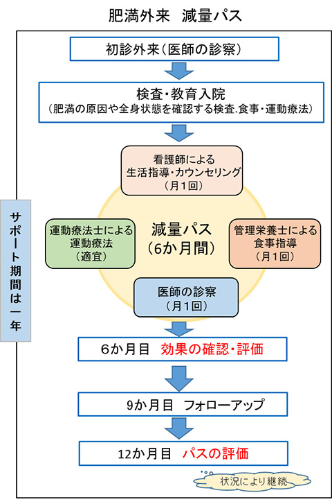 肥満症専門外来について